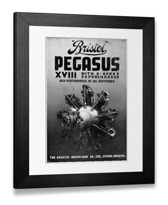 Framed Print : 13870248 Framed Print : 13870248