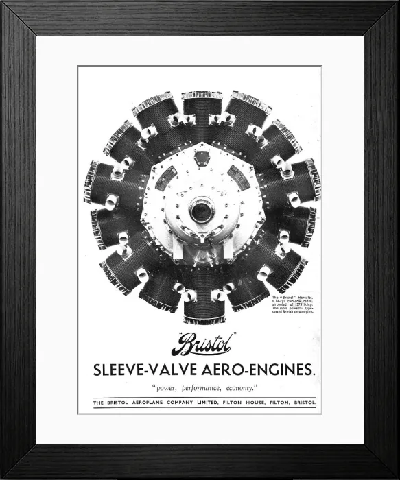 Framed Print : 13870270 Framed Print : 13870270