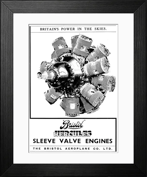 Framed Print : 13870347 Framed Print : 13870347
