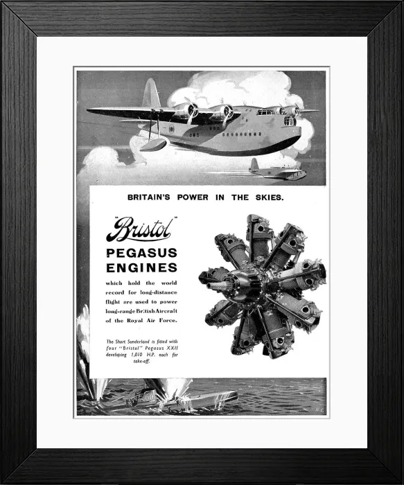 Framed Print : 13870357 Framed Print : 13870357