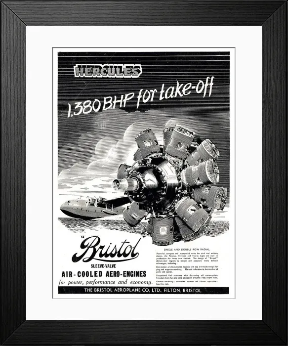 Framed Print : 13870378 Framed Print : 13870378