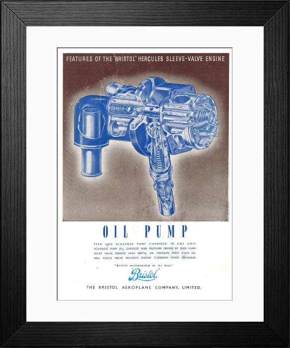 Framed Print : 13870484 Framed Print : 13870484
