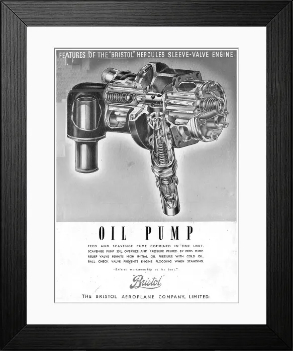 Framed Print : 13870515 Framed Print : 13870515