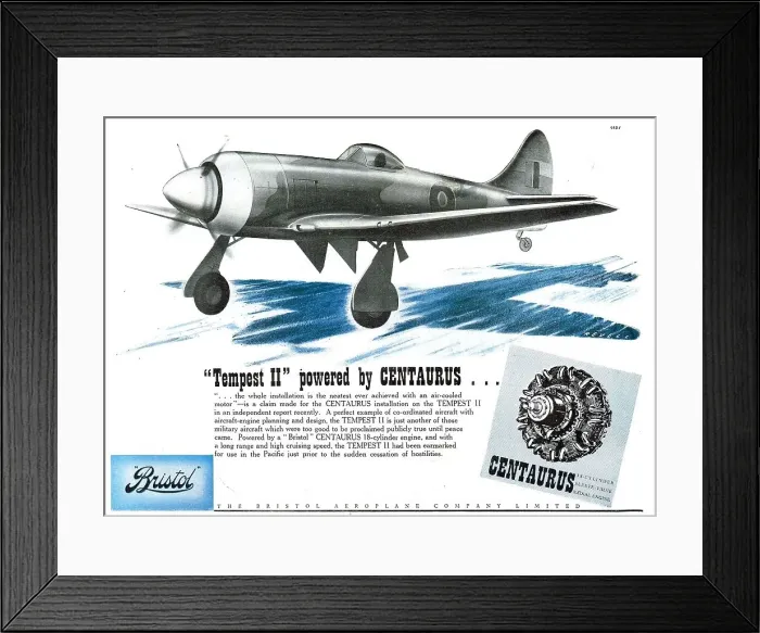 Framed Print : 13870583 Framed Print : 13870583