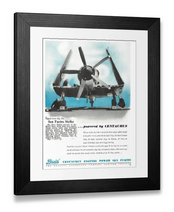 Framed Print : 13870676 Framed Print : 13870676