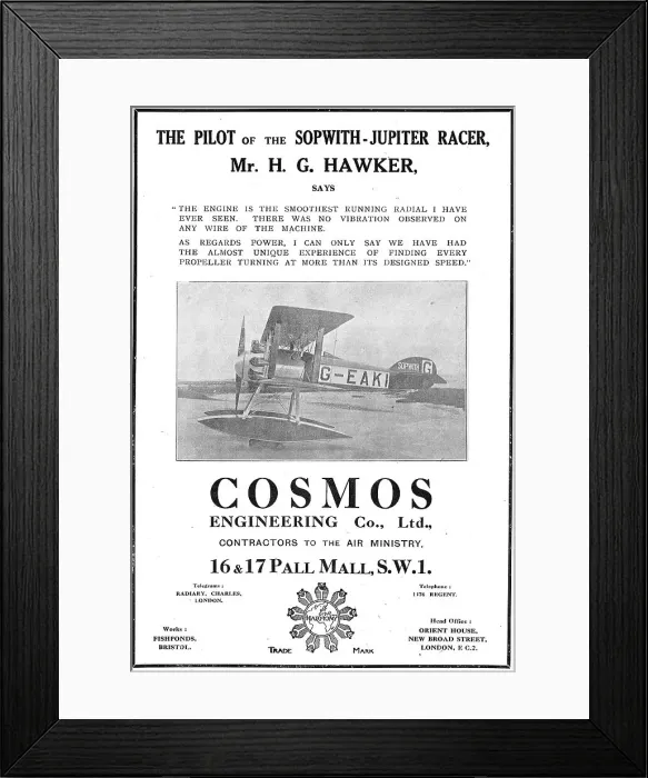 Framed Print : 13871426
