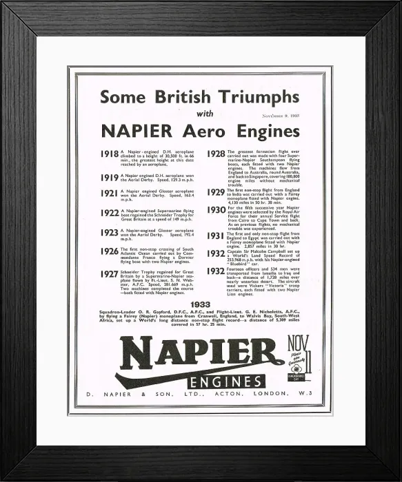 Framed Print : 13872493