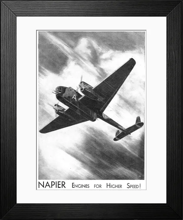 Framed Print : 13872525 Framed Print : 13872525