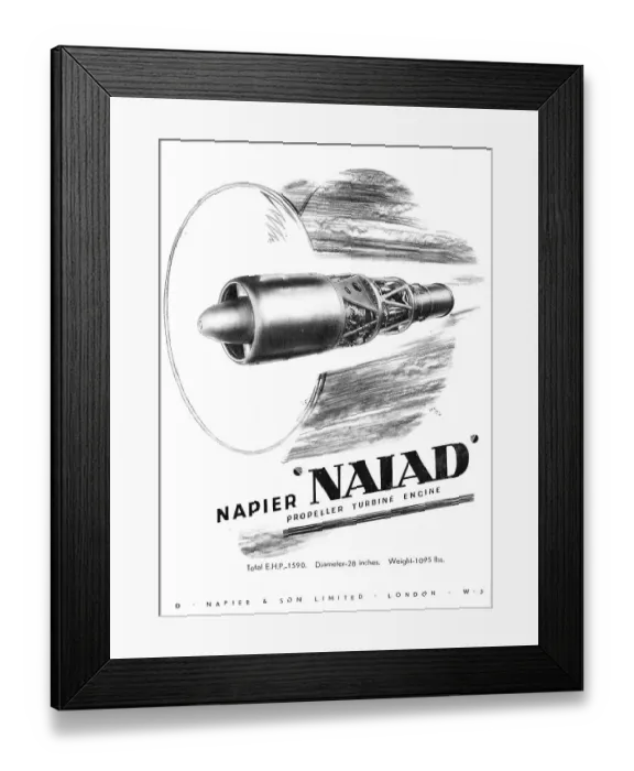 Framed Print : 13872593 Framed Print : 13872593