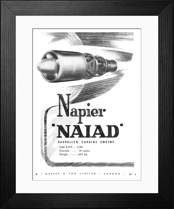 Framed Print : 13872596 Framed Print : 13872596