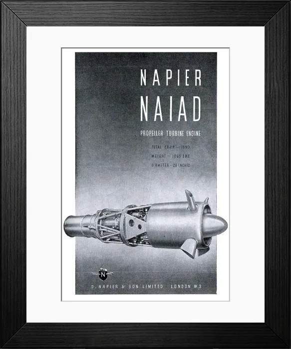 Framed Print : 13872602 Framed Print : 13872602