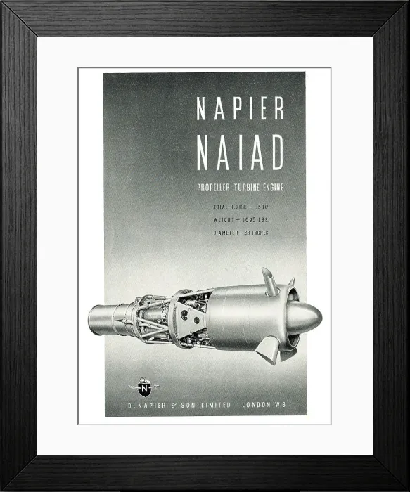 Framed Print : 13872611 Framed Print : 13872611