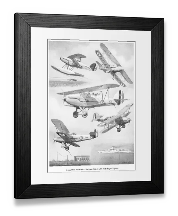 Framed Print : 13873149 Framed Print : 13873149
