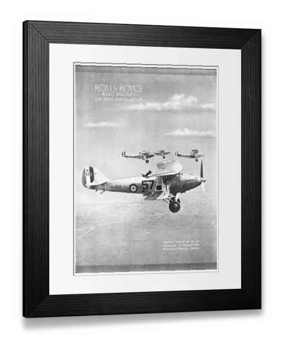 Framed Print : 13873196 Framed Print : 13873196
