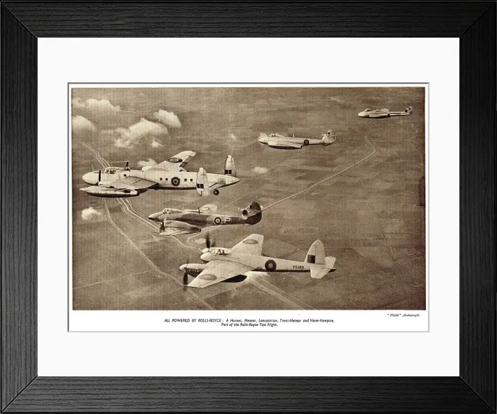 Framed Print : 13873521 Framed Print : 13873521