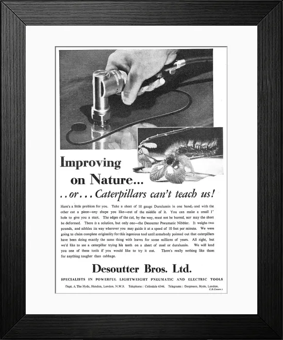 Framed Print : 13875316 Framed Print : 13875316
