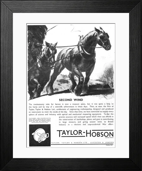Framed Print : 13876671 Framed Print : 13876671