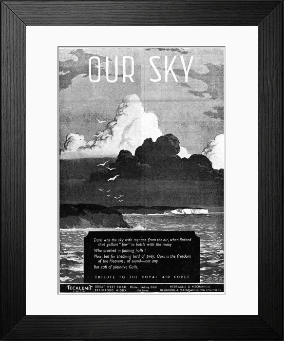 Framed Print : 13876783 Framed Print : 13876783