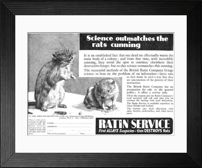Framed Print : 13878079