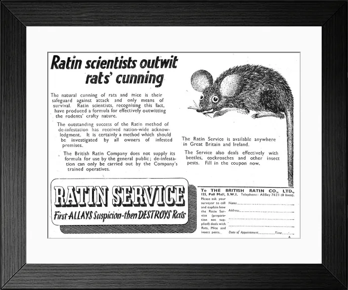 Framed Print : 13878080 Framed Print : 13878080