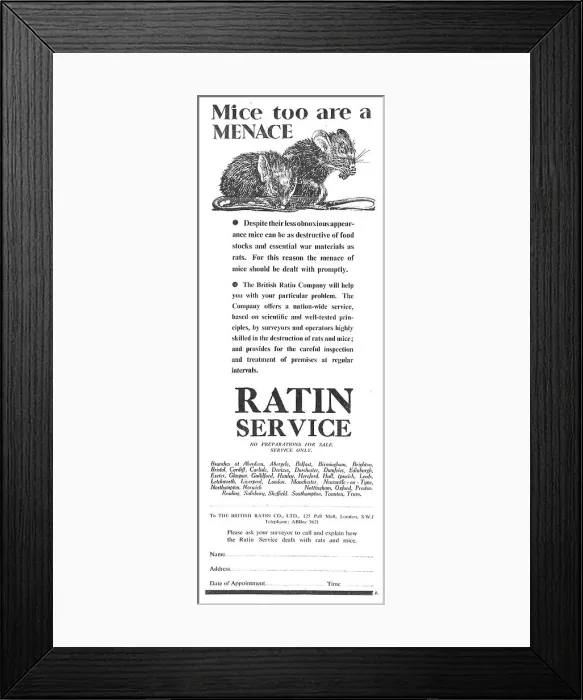 Framed Print : 13878087 Framed Print : 13878087