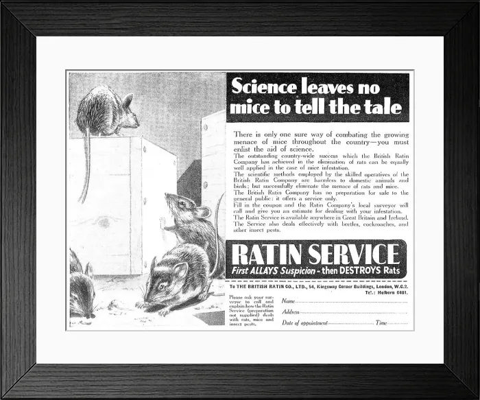 Framed Print : 13878077 Framed Print : 13878077
