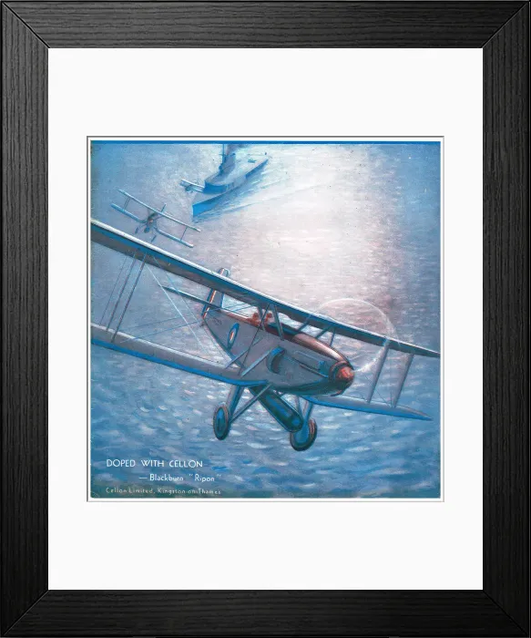 Framed Print : 13879101 Framed Print : 13879101