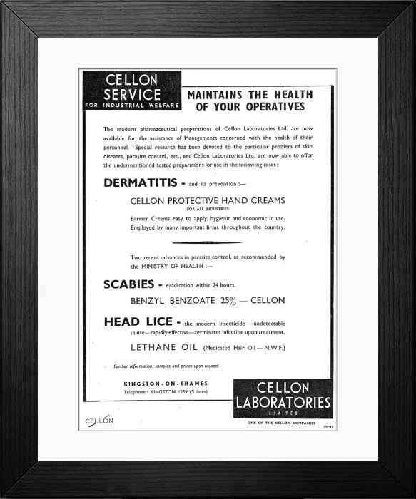 Framed Print : 13879197