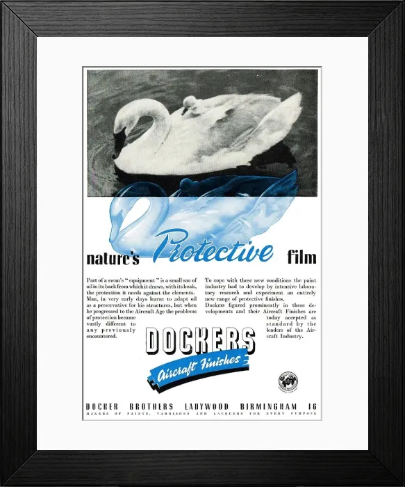 Framed Print : 13879376 Framed Print : 13879376
