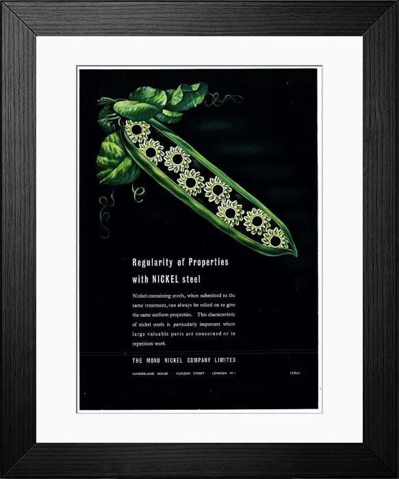 Framed Print : 13879658 Framed Print : 13879658