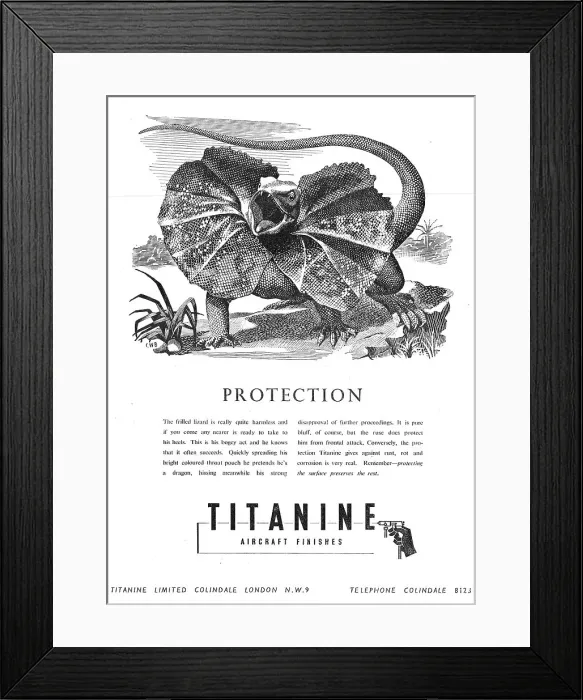 Framed Print : 13879956 Framed Print : 13879956