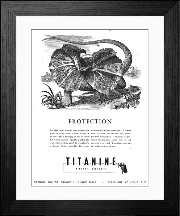 Framed Print : 13879968 Framed Print : 13879968