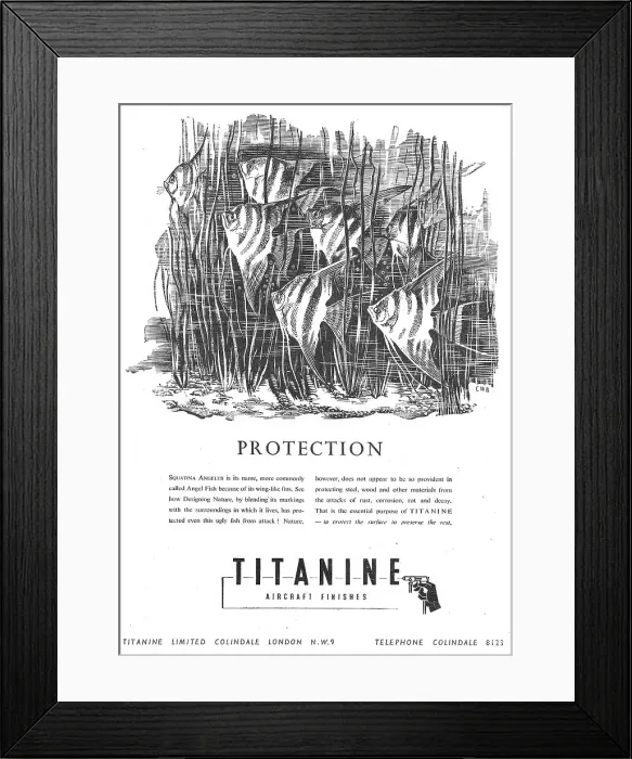 Framed Print : 13879969 Framed Print : 13879969