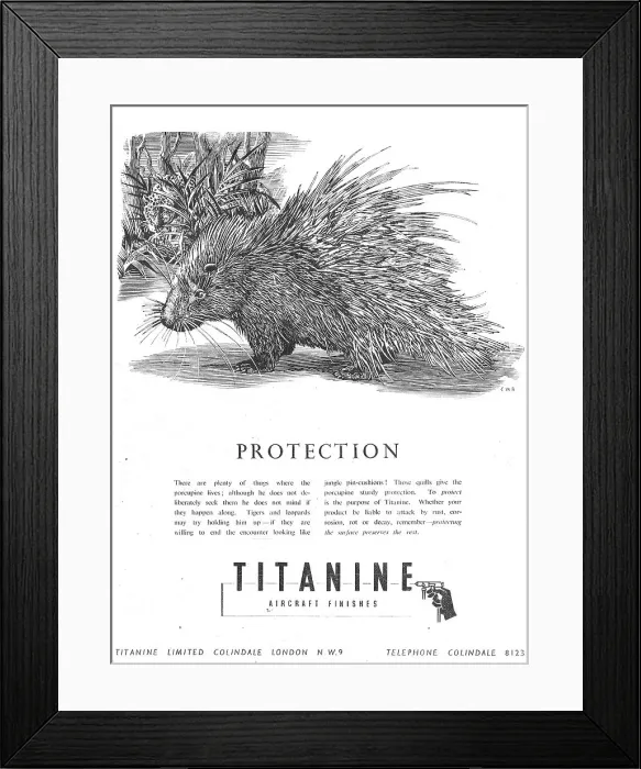 Framed Print : 13879970 Framed Print : 13879970