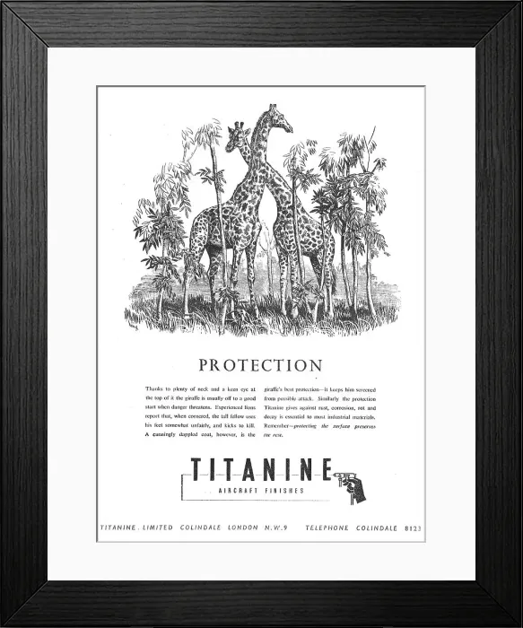 Framed Print : 13879971 Framed Print : 13879971
