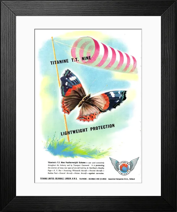Framed Print : 13879998 Framed Print : 13879998