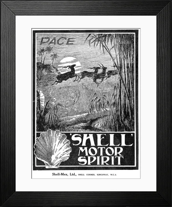 Framed Print : 13881209 Framed Print : 13881209
