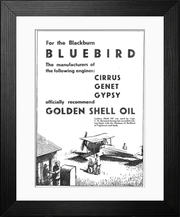 Framed Print : 13881288 Framed Print : 13881288