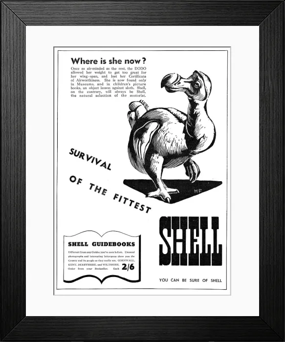 Framed Print : 13881381 Framed Print : 13881381
