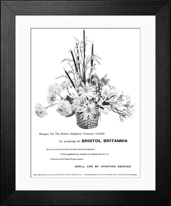 Framed Print : 13881539 Framed Print : 13881539