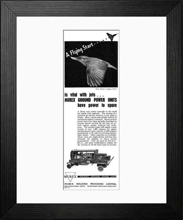Framed Print : 13882825 Framed Print : 13882825