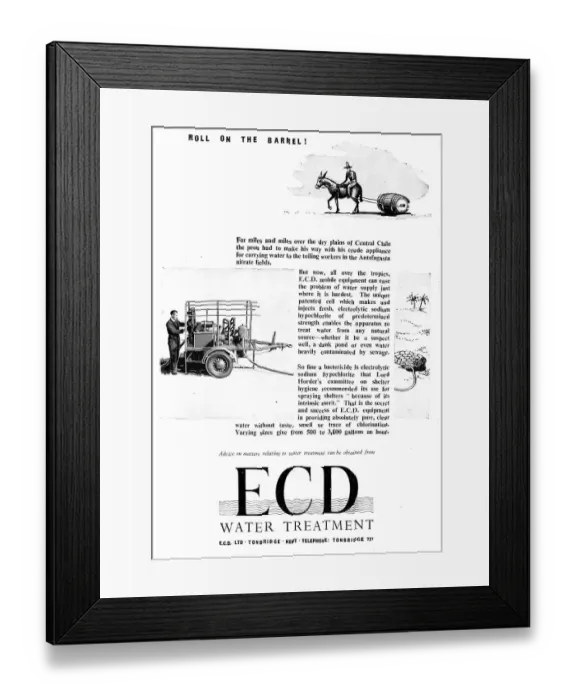 Framed Print : 13883419 Framed Print : 13883419