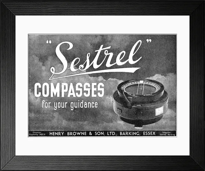 Framed Print : 13883649