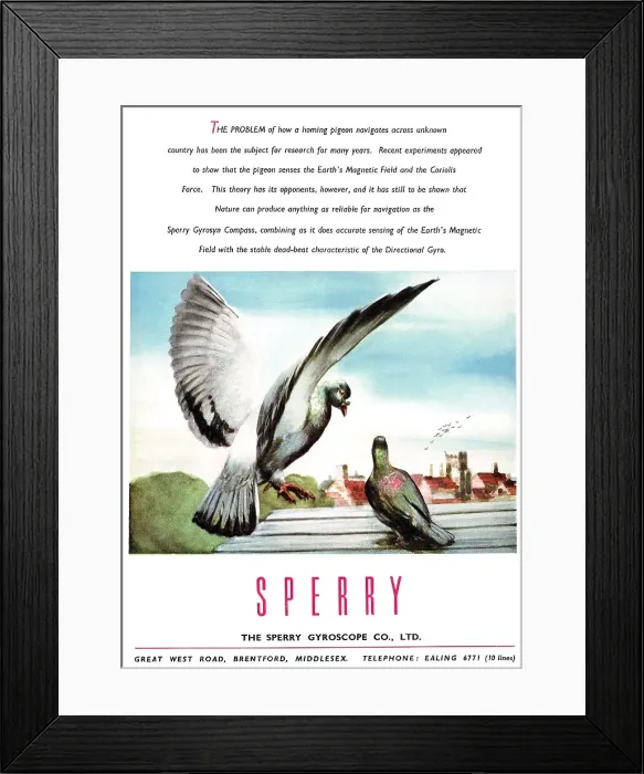 Framed Print : 13885189 Framed Print : 13885189