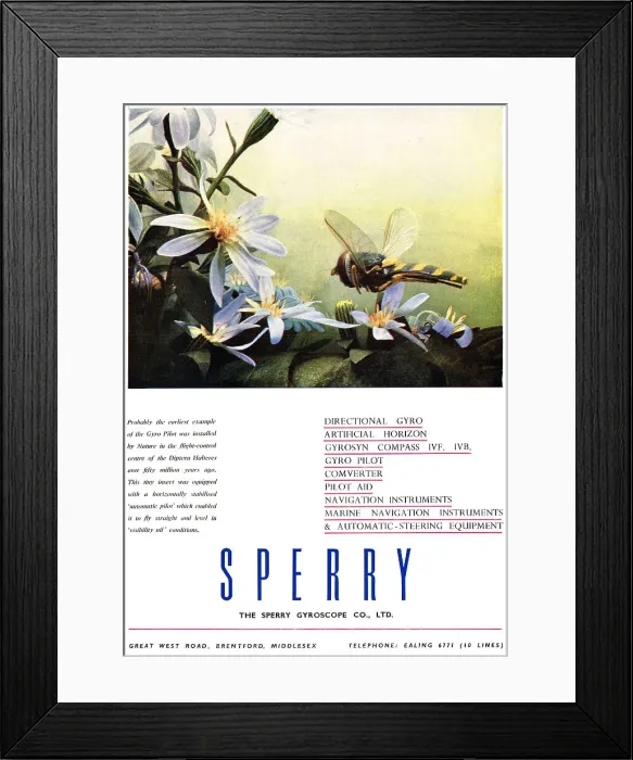 Framed Print : 13885185 Framed Print : 13885185