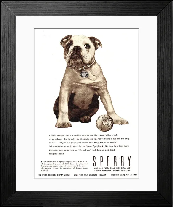Framed Print : 13885197 Framed Print : 13885197