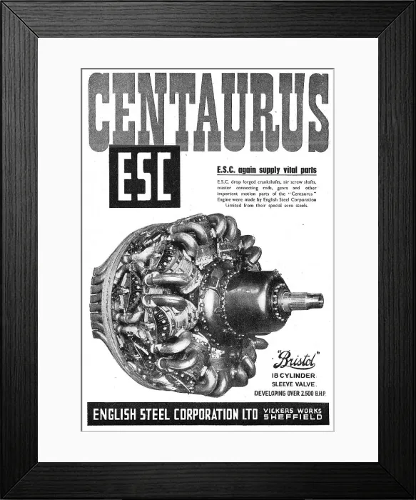 Framed Print : 13888159 Framed Print : 13888159