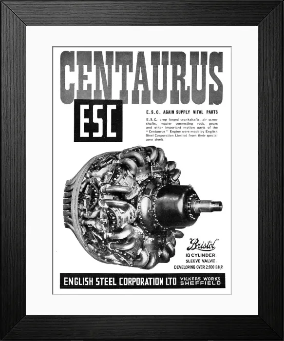Framed Print : 13888163 Framed Print : 13888163