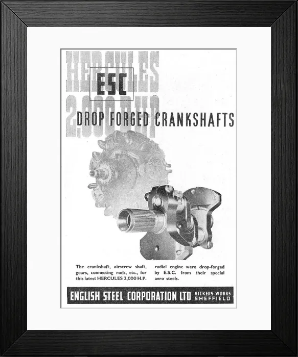Framed Print : 13888170 Framed Print : 13888170
