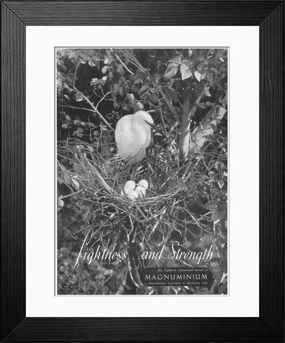 Framed Print : 13888865 Framed Print : 13888865